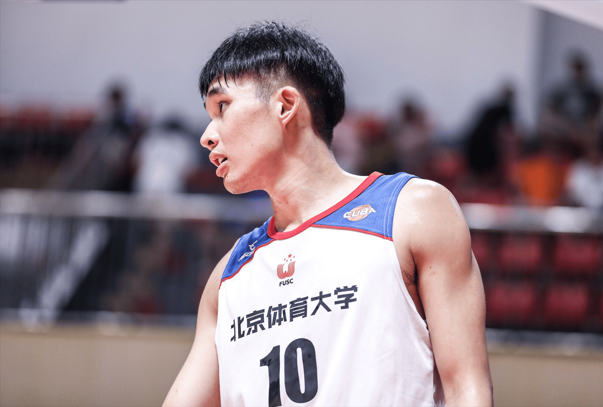 九游体育-辽宁有动作？国手后卫将临，广东难御