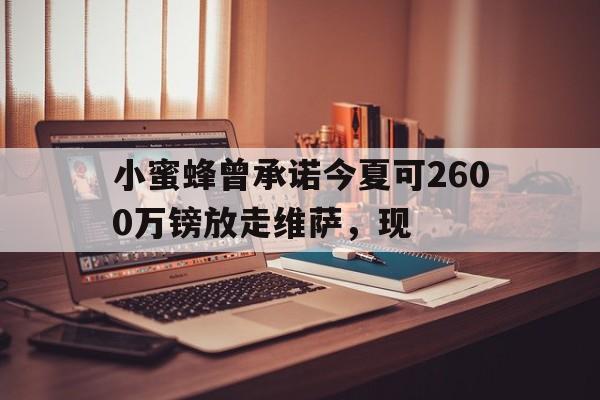 九游体育-关于小蜜蜂曾承诺今夏可2600万镑放走维萨，现的信息