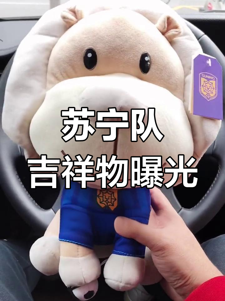 江苏苏宁备受瞩目，迎战上海东方的简单介绍